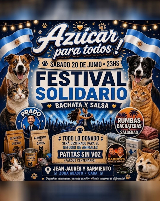 Festival Solidario