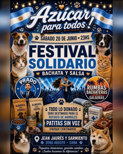 Festival Solidario