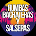 Rumbas Bachateras y Salseras